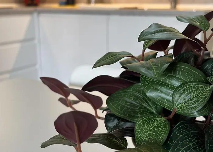 Casa Marysol Apartman *